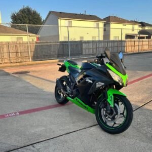 2013 Kawasaki Ninja 300